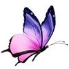 magic1421